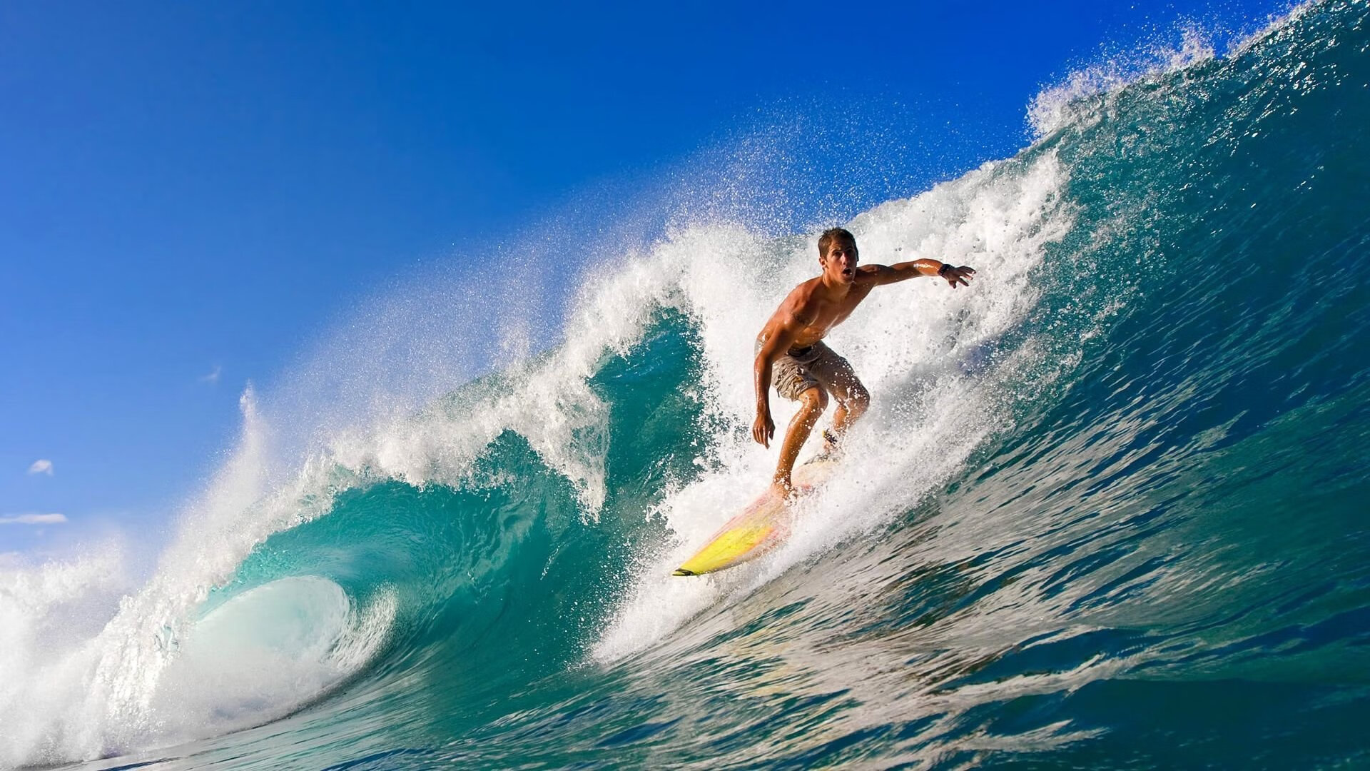 澳大利亚橄榄球青训体系逐步完善，成为全球橄榄球人才的摇篮，澳大利亚的橄榄球用英文怎么说