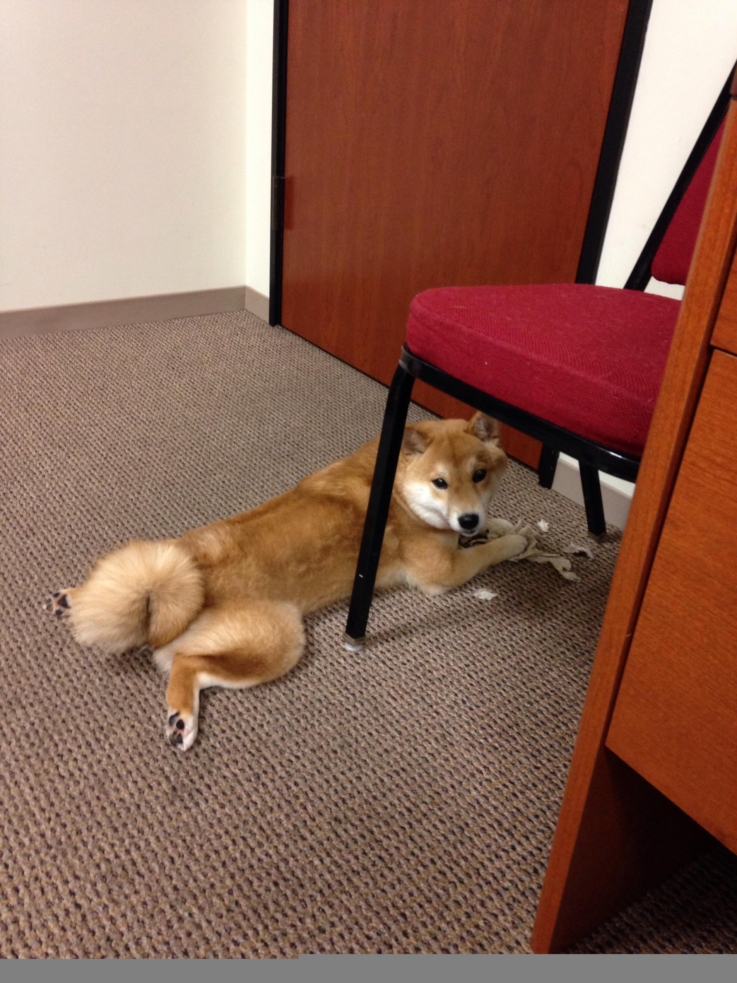 爱游戏官网充值-VALORANT 线上联赛规模不断扩大，valorant赛制