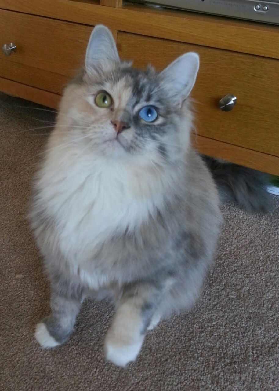 爱游戏体育网页版-_梦幻天空跑：在云端奔驰的奇妙体验_，梦幻天空图片