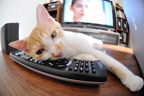 爱游戏体育在线app-德甲转会热潮：多支豪门补强中场与锋线，2021-2022德甲转会